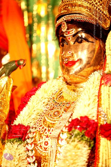 1-Temple_Photo_1007_IMG_4290_CMP_WM