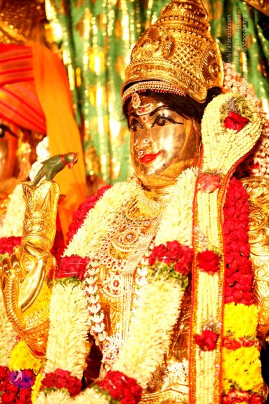 1-Temple_Photo_1008_IMG_4291_CMP_WM