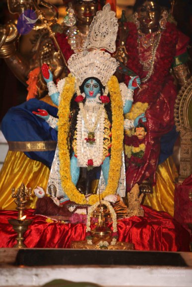 6-Chandi-Homa_Photo_1021_IMG_6002_CMP_WM