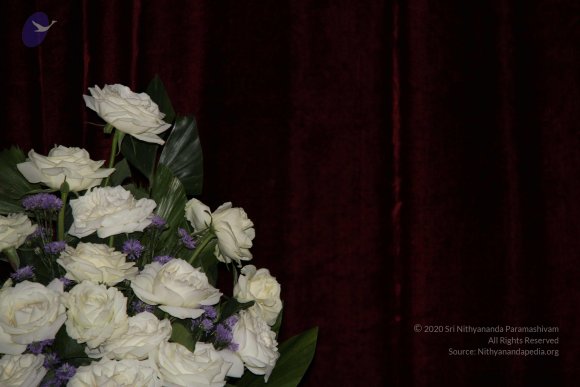 04-NSP-Afternoon-Session_Photo_1001_IMG_6674_CMP_WM