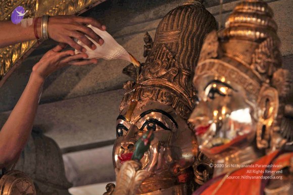 20110919_Photo_1000_IMG_9612_CMP_WM