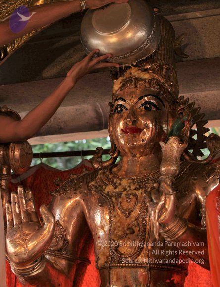 20110919_Photo_1006_IMG_9647_CMP_WM Done