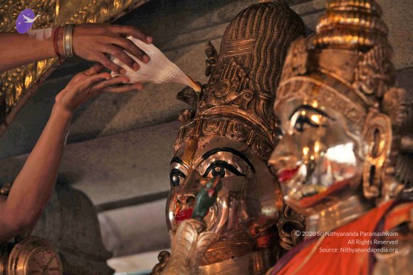 20110919_Photo_1010_IMG_9614_CMP_WM