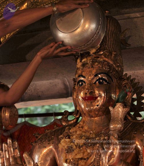 20110919_Photo_1011_IMG_9646_CMP_WM Done