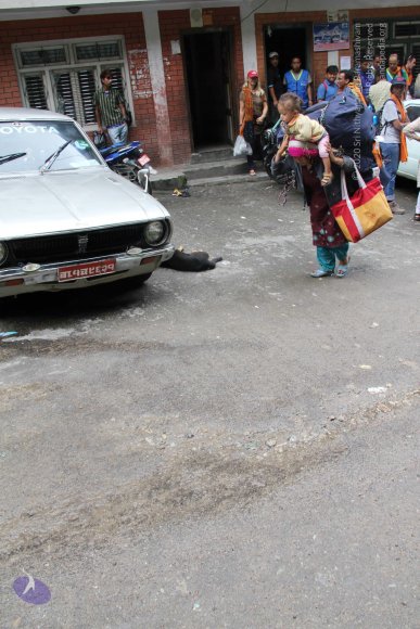 20110901_Photo_1113_IMG_1931_CMP_WM