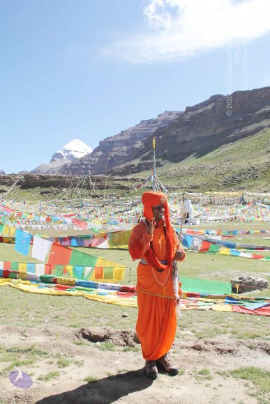 20110901_Photo_1171_IMG_2249_CMP_WM