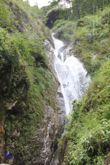 20110901_Photo_1224_IMG_2383_CMP_WM