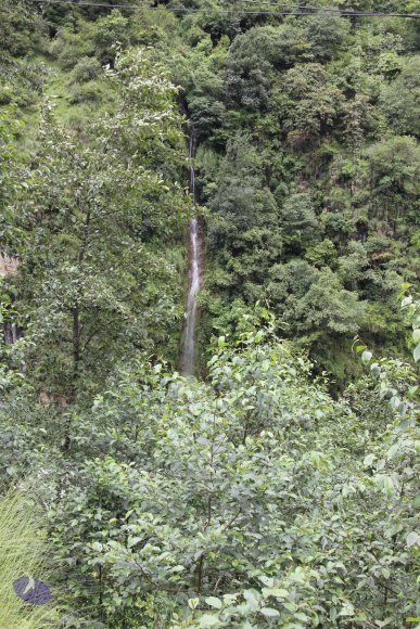 20110901_Photo_1226_IMG_2387_CMP_WM