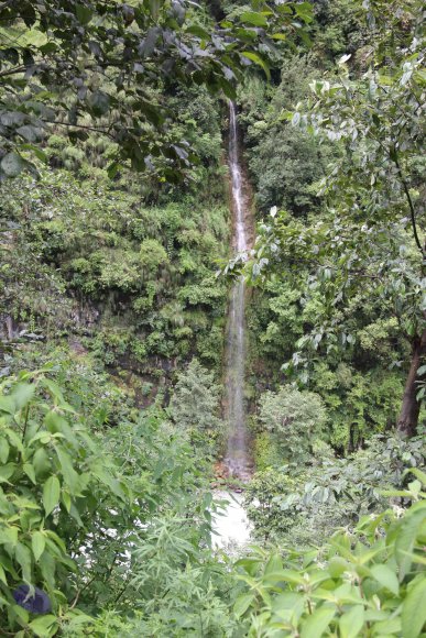 20110901_Photo_1227_IMG_2389_CMP_WM