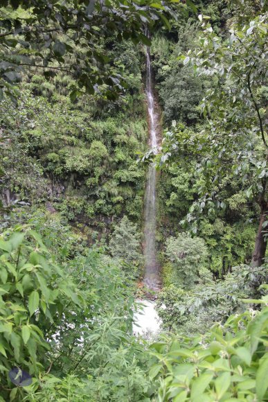 20110901_Photo_1228_IMG_2390_CMP_WM