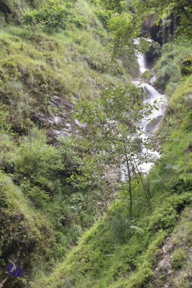 20110901_Photo_1229_IMG_2391_CMP_WM