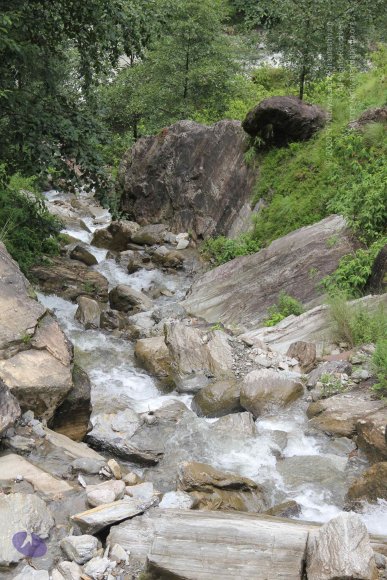 20110901_Photo_1231_IMG_2393_CMP_WM