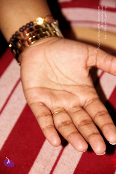 20110901_Photo_1244_IMG_2501_CMP_WM