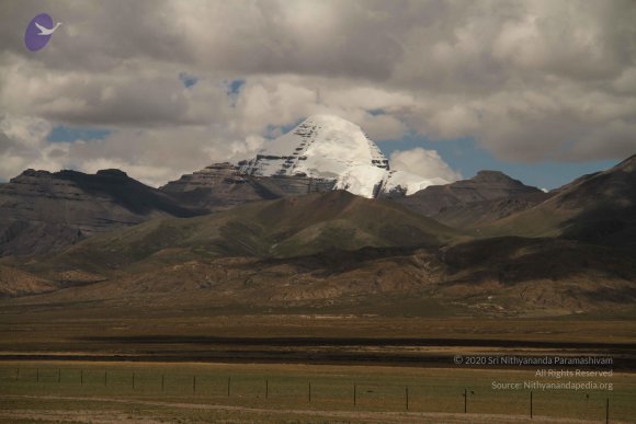 20120807_Photo_1003_IMG_7731_CMP_WM