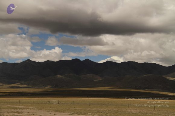 20120807_Photo_1004_IMG_7734_CMP_WM