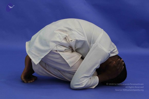 20120815_Photo_1018_IMG_6380_CMP_WM