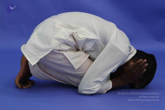 20120815_Photo_1019_IMG_6381_CMP_WM