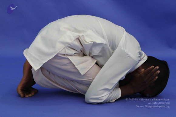 20120815_Photo_1020_IMG_6382_CMP_WM