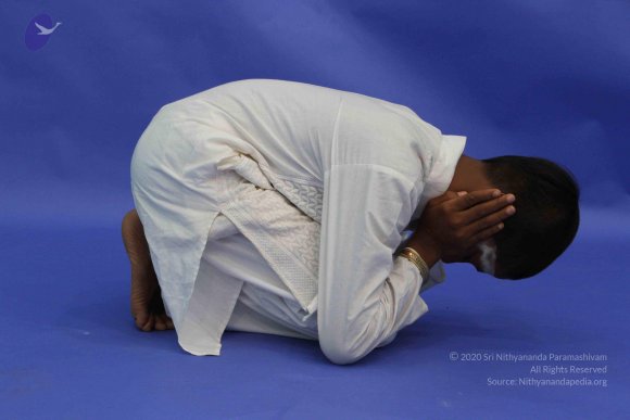 20120815_Photo_1021_IMG_6383_CMP_WM