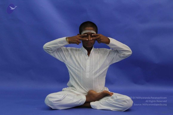 20120815_Photo_1035_IMG_6397_CMP_WM