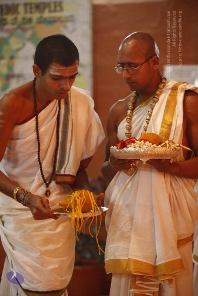 20120209_Photo_1003__MG_5393_CMP_WM