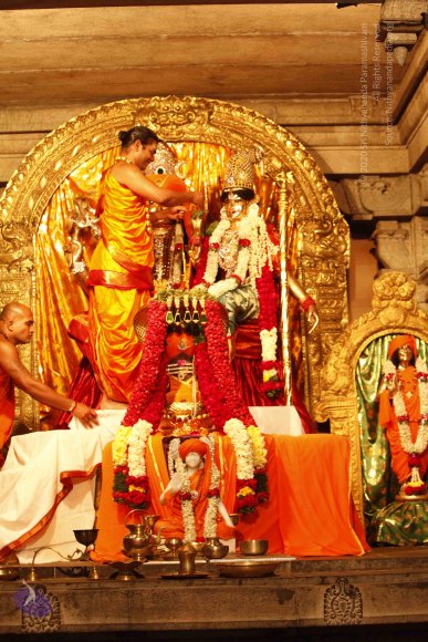 20120209_Photo_1007__MG_5409_CMP_WM