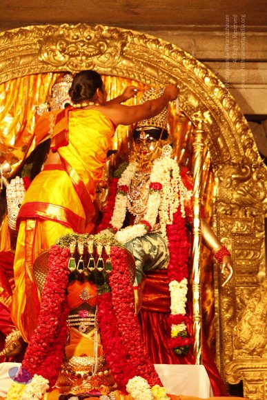 20120209_Photo_1009__MG_5411_CMP_WM