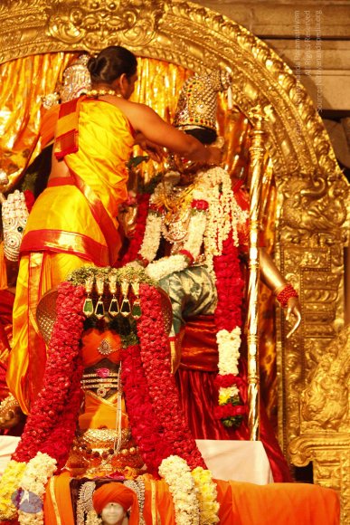 20120209_Photo_1010__MG_5415_CMP_WM