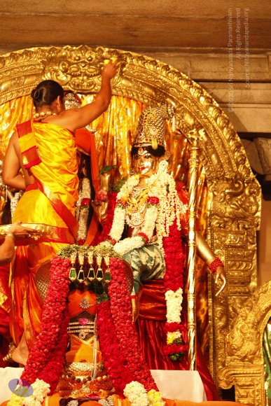 20120209_Photo_1013__MG_5419_CMP_WM