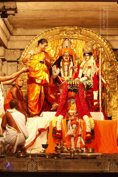 20120209_Photo_1017__MG_5431_CMP_WM