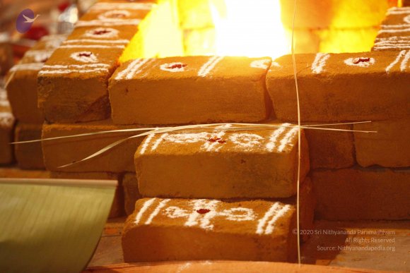 20120209_Photo_1039__MG_5518_CMP_WM