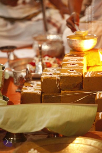 20120209_Photo_1040__MG_5520_CMP_WM