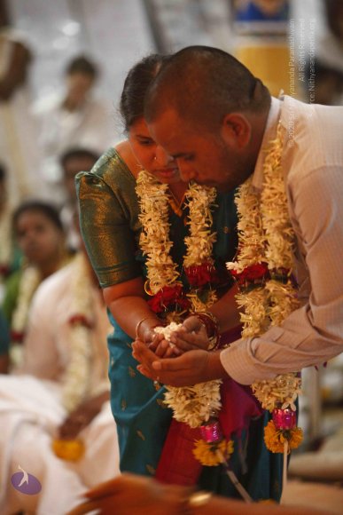 20120209_Photo_1042__MG_5533_CMP_WM