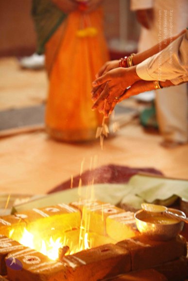 20120209_Photo_1043__MG_5534_CMP_WM