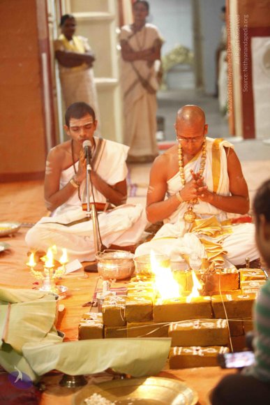 20120209_Photo_1065__MG_5641_CMP_WM