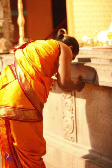 20120209_Photo_1068__MG_5647_CMP_WM