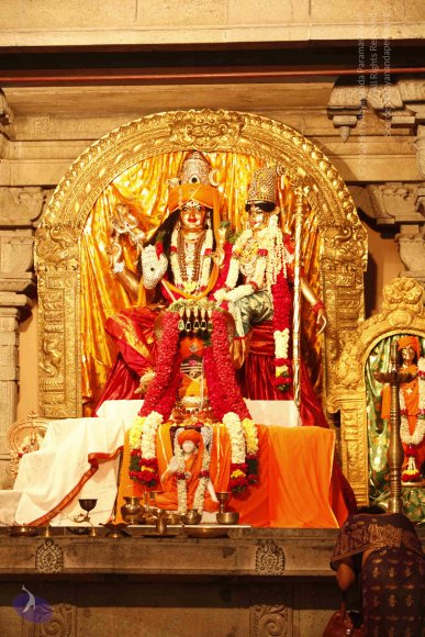 20120209_Photo_1069__MG_5652_CMP_WM