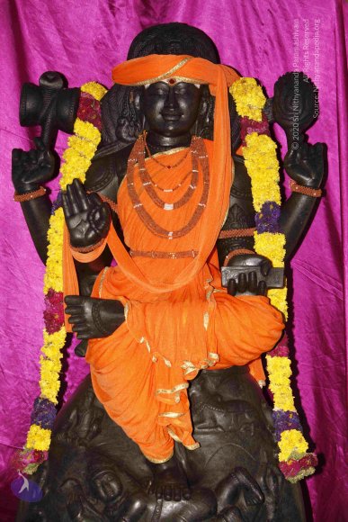 20120209_Photo_1000__MG_4377_CMP_WM