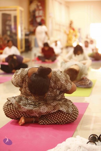 20120209_Photo_1009__MG_4857_CMP_WM