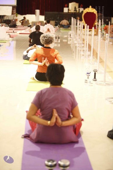 20120209_Photo_1011__MG_4860_CMP_WM