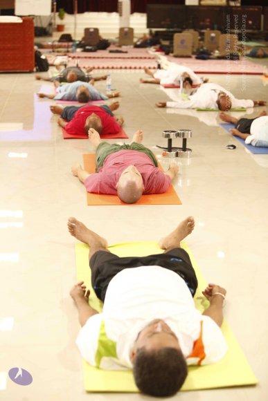 20120209_Photo_1016__MG_4865_CMP_WM