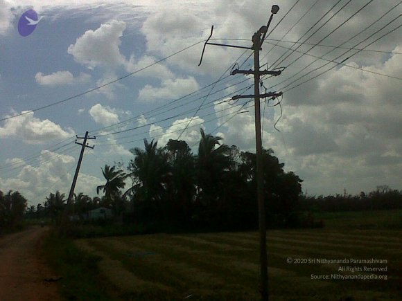 IMG00063-20120105-1206_CMP_WM