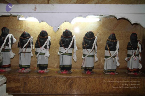 20120623_Photo_1007_IMG_1378_CMP_WM