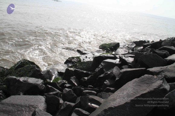 20120107_Photo_1054_IMG_5108_CMP_WM