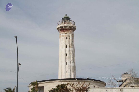 20120107_Photo_1077_IMG_5106_CMP_WM