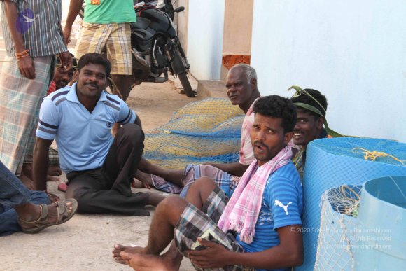 20120107_Photo_1079_IMG_5187_CMP_WM