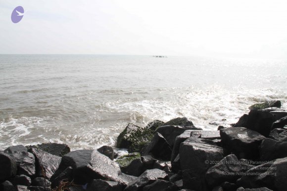 20120107_Photo_1130_IMG_5110_CMP_WM