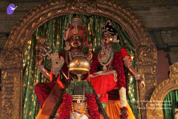 20120510_Photo_1008_IMG_0971_CMP_WM