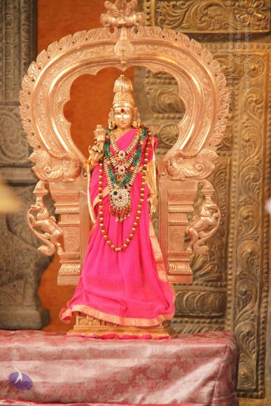 20120510_Photo_1009_IMG_0992_CMP_WM