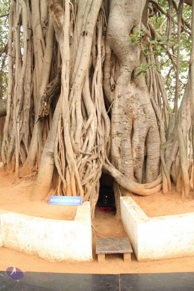 20120510_Photo_1016_IMG_1010_CMP_WM